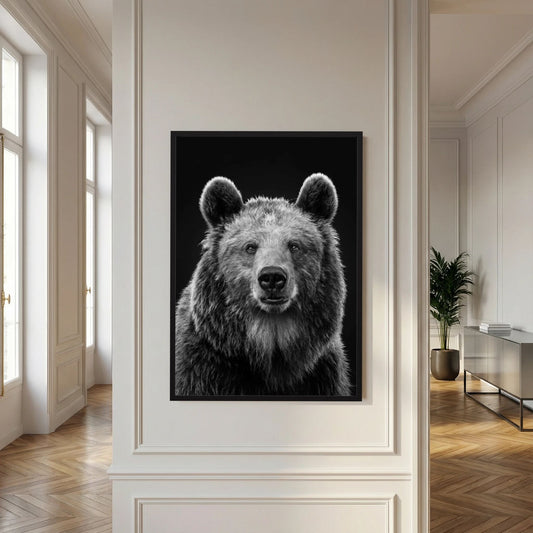 The Bear
