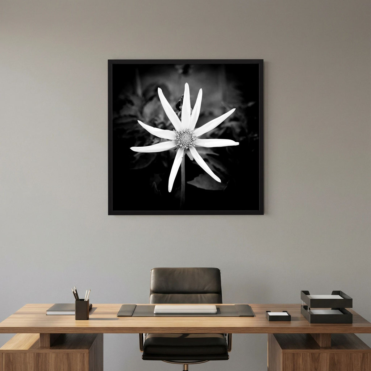 Star Flower