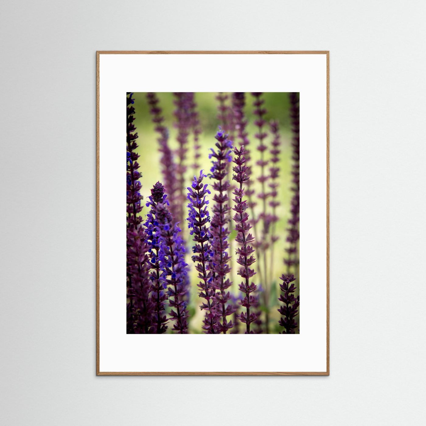Purple flowers