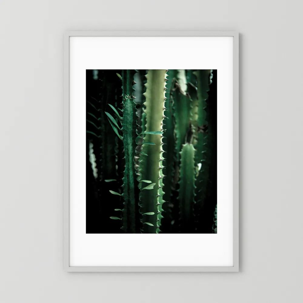 Dark Cactus