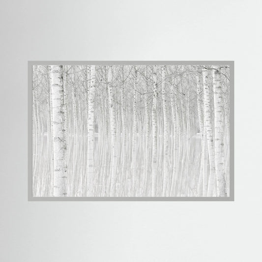 Trees