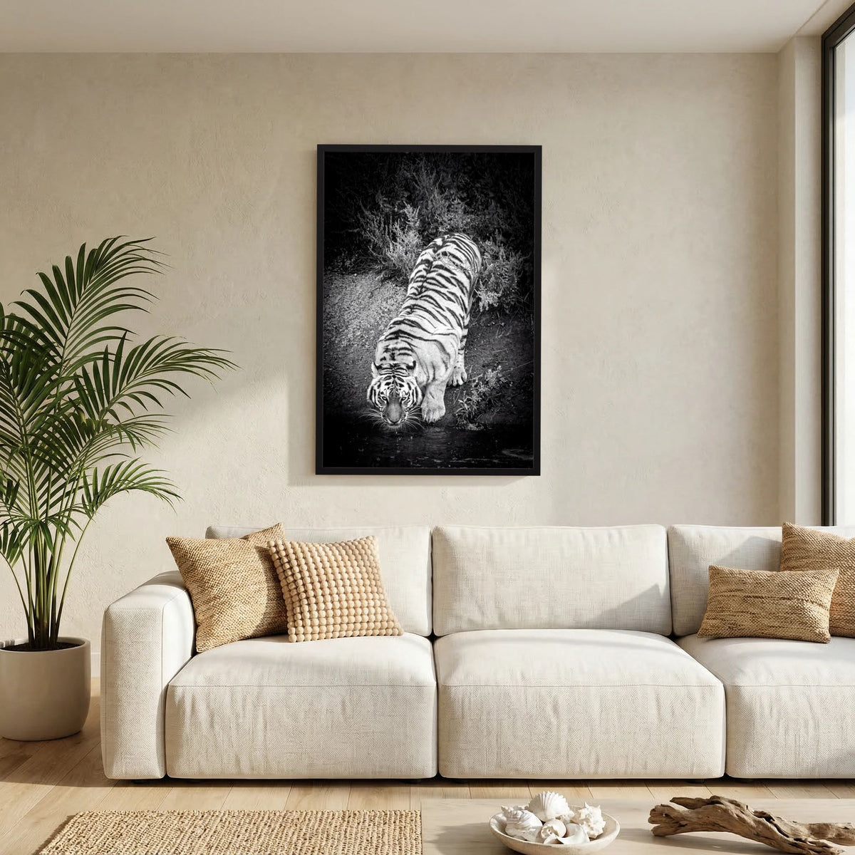 Tiger drinking water