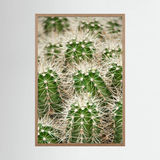 Prickle