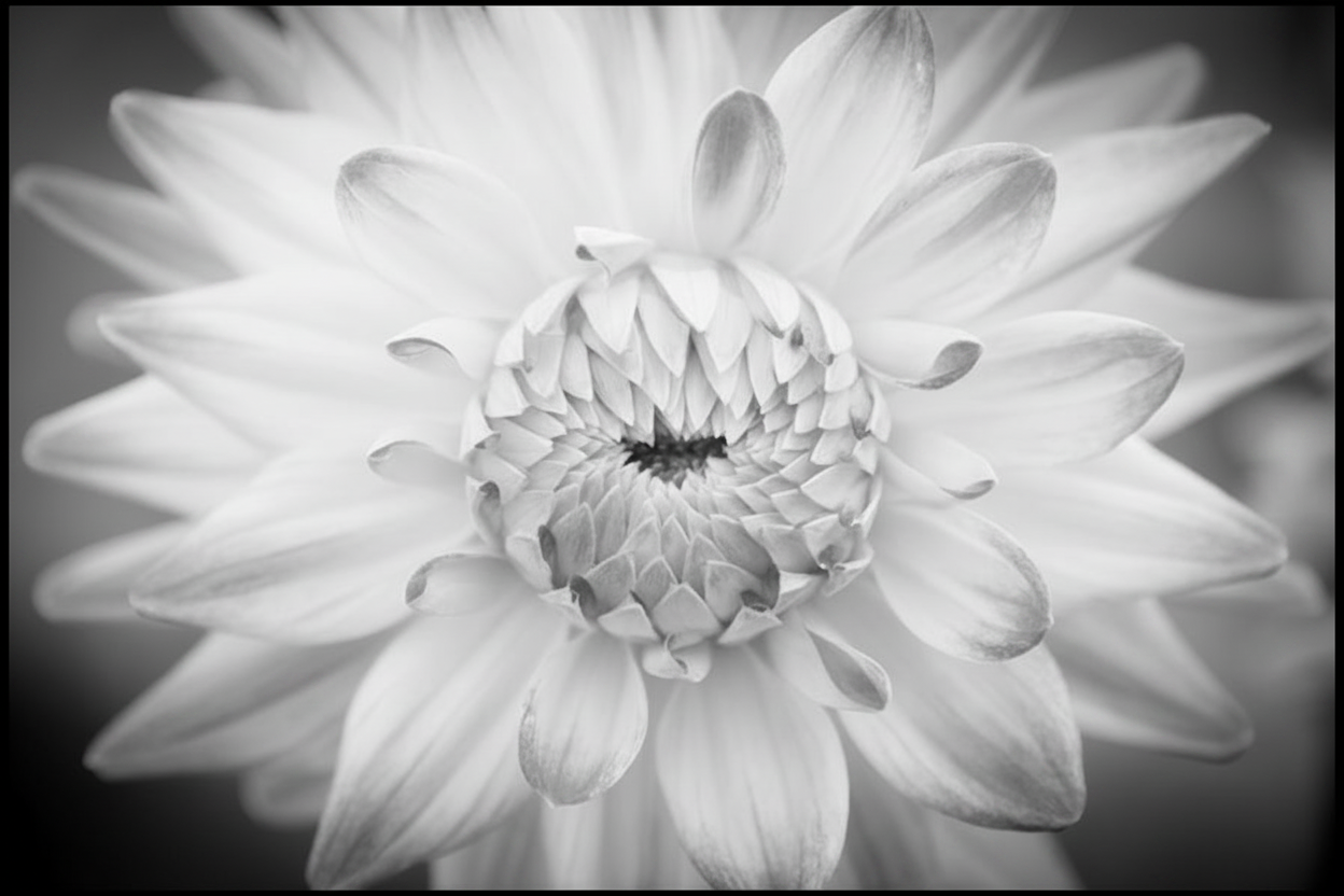 White flower