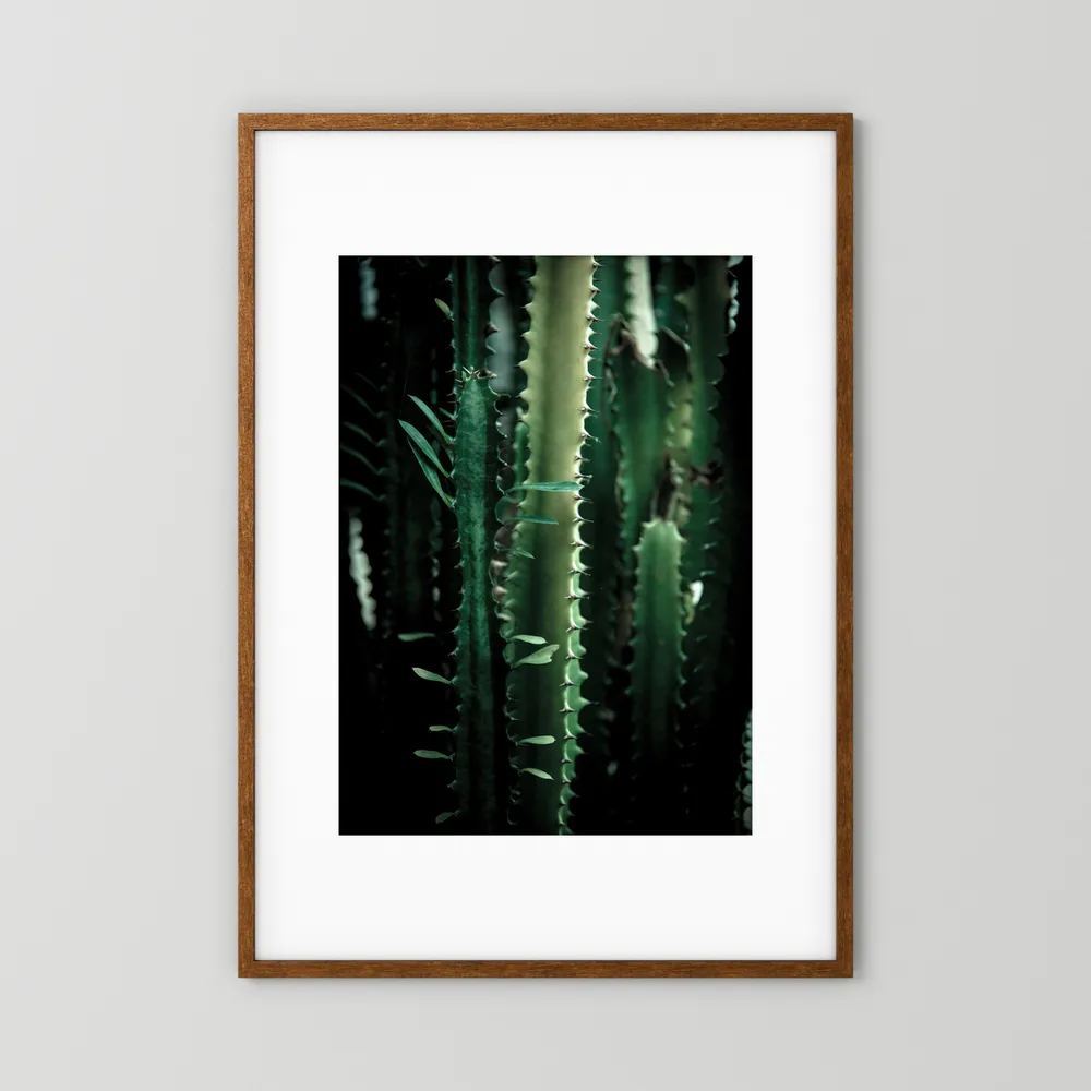 Dark Cactus