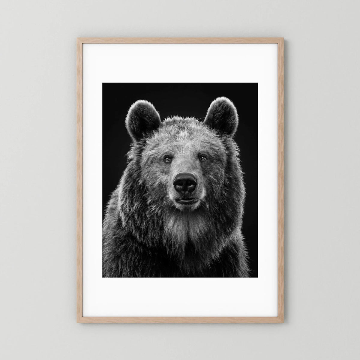 The Bear