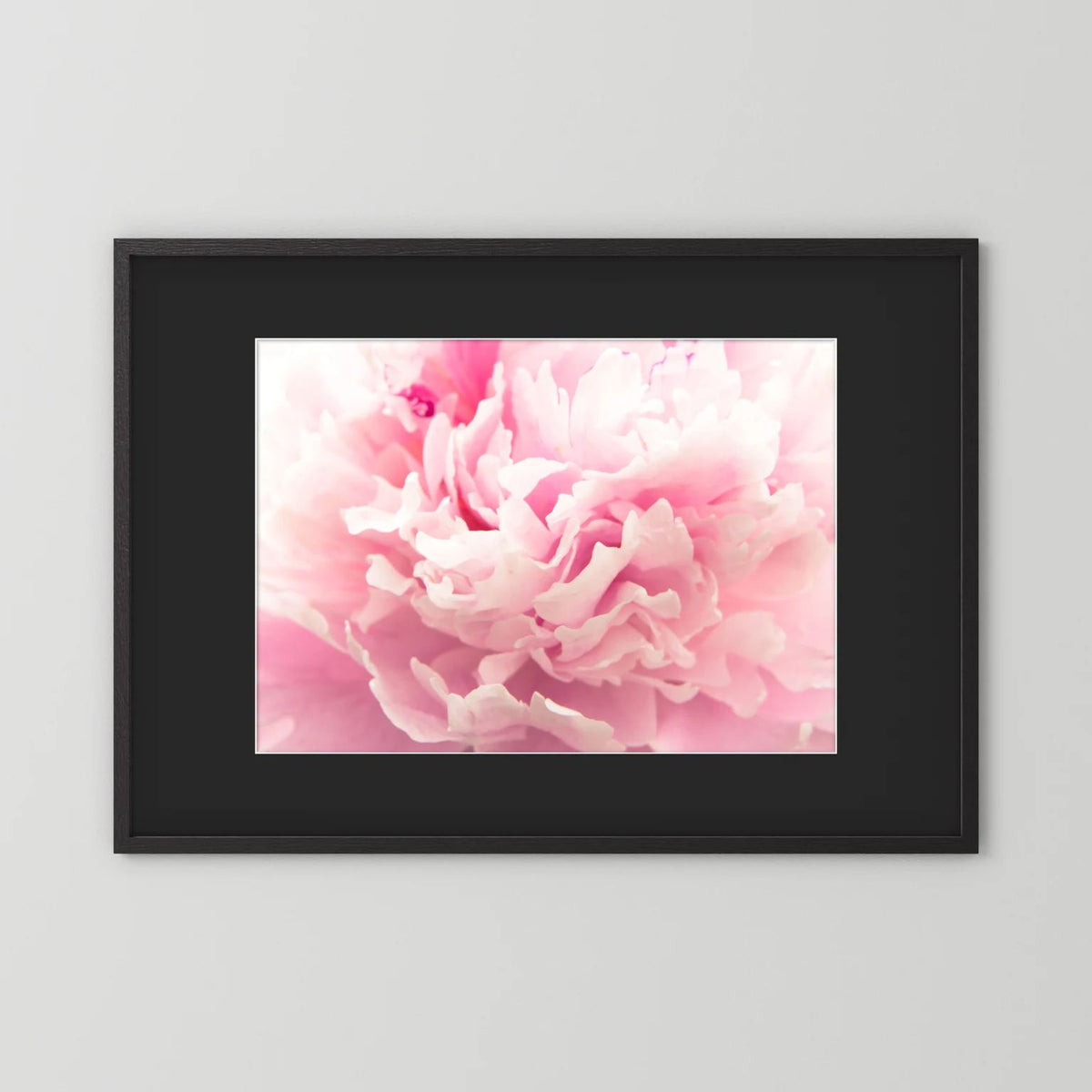 Fluffy Flower