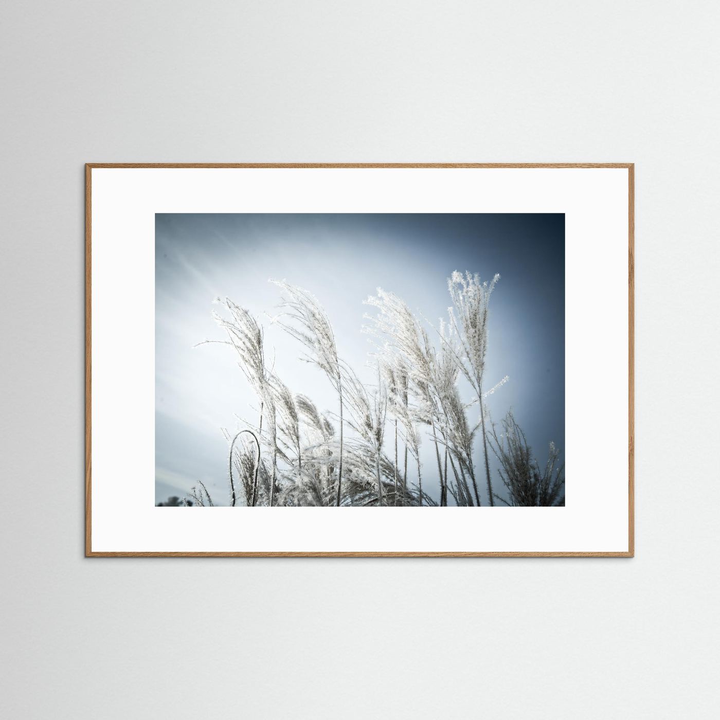 Frost
