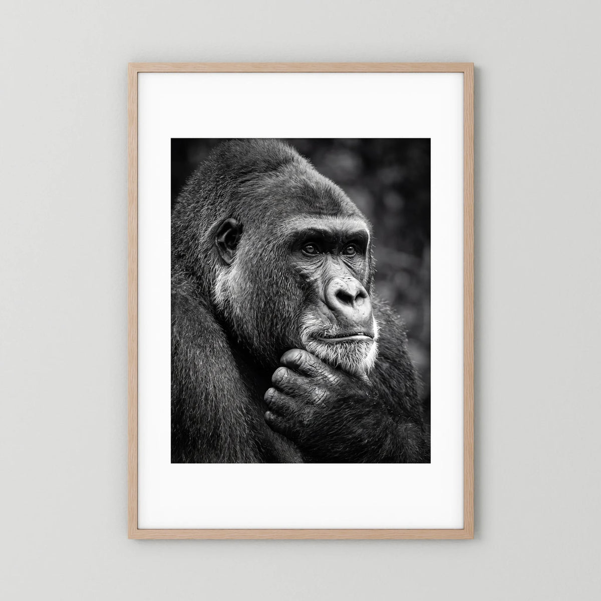 Gorilla