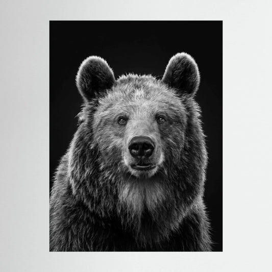 The Bear