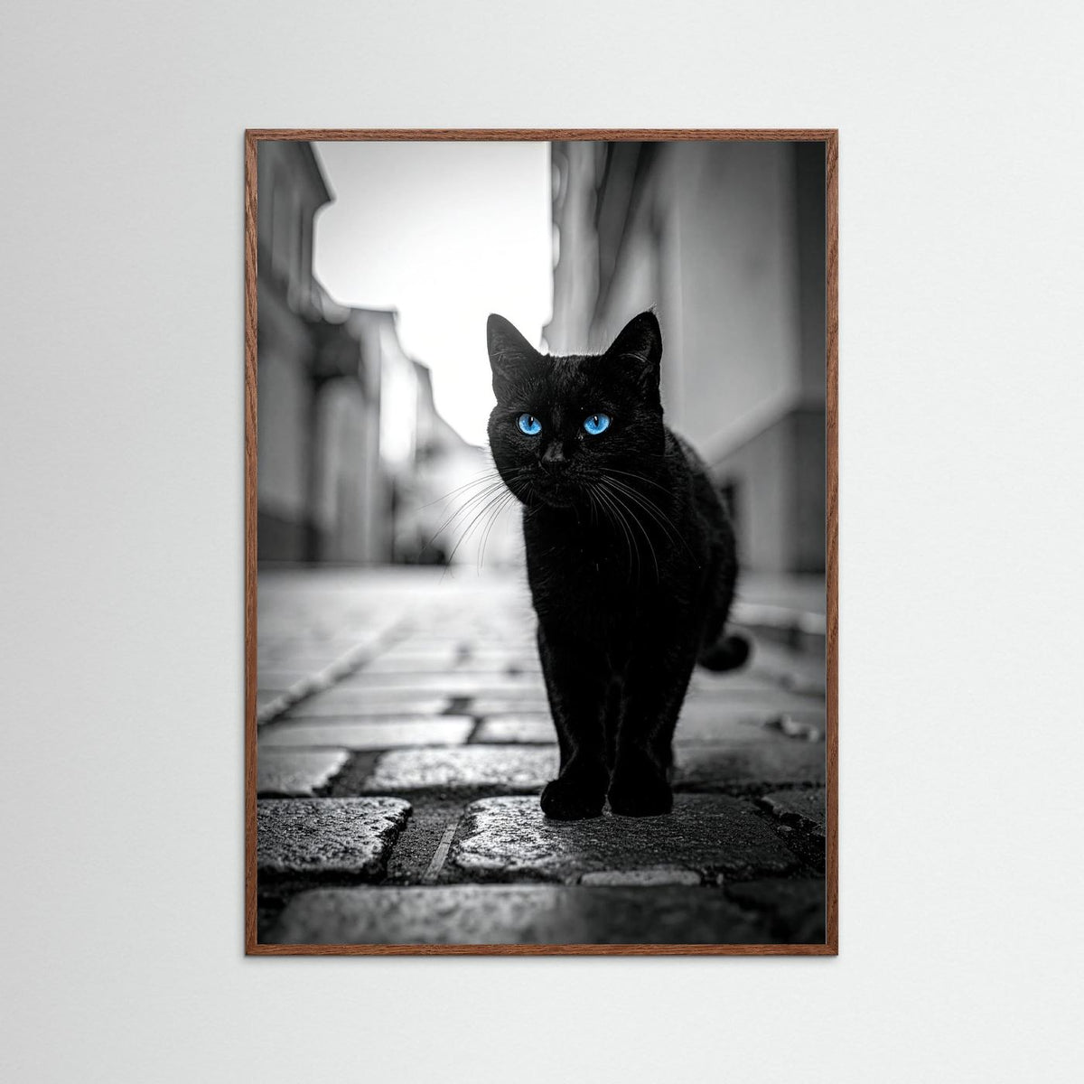 City Cat
