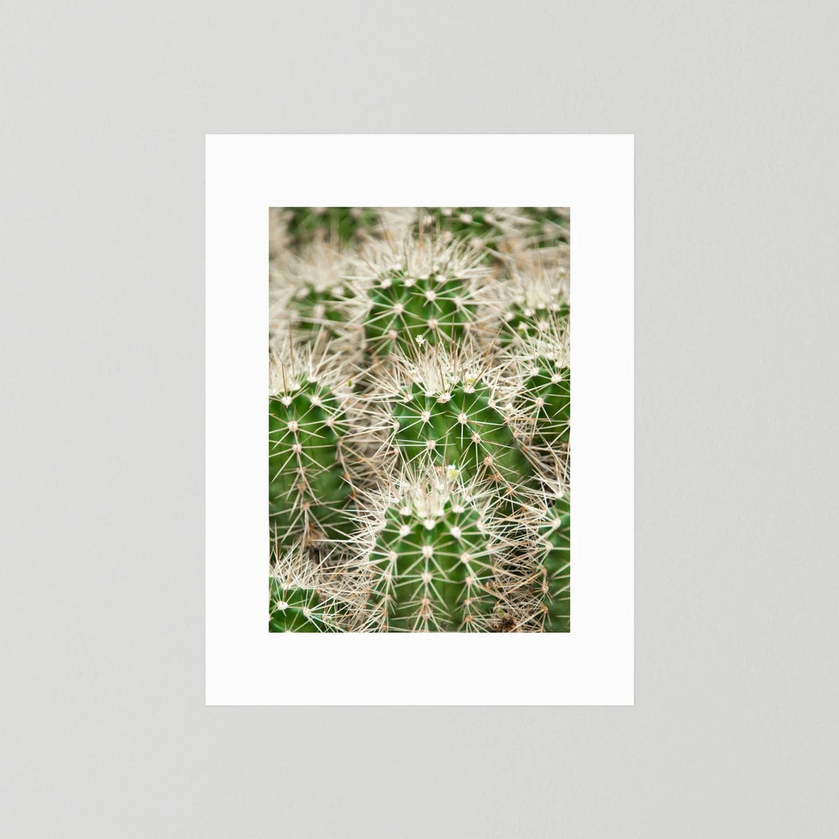 Prickle
