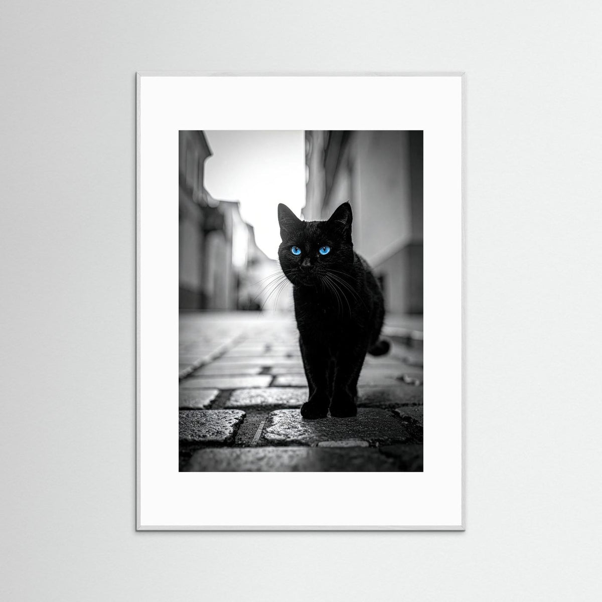 City Cat