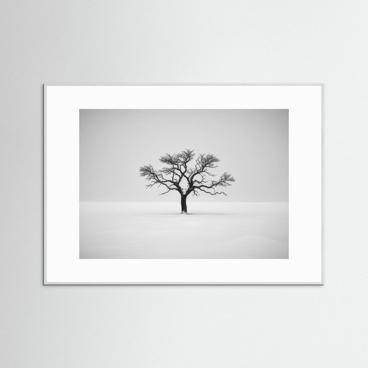 Tree of Life