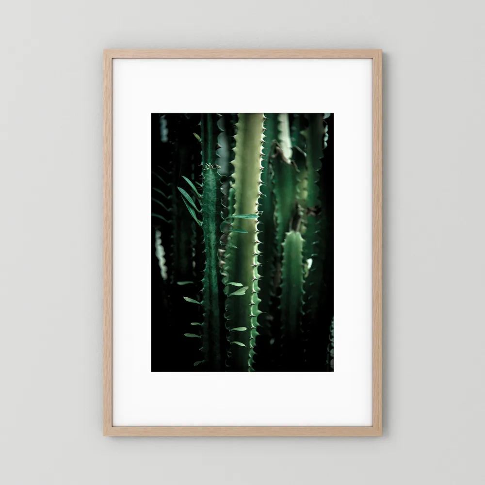 Dark Cactus