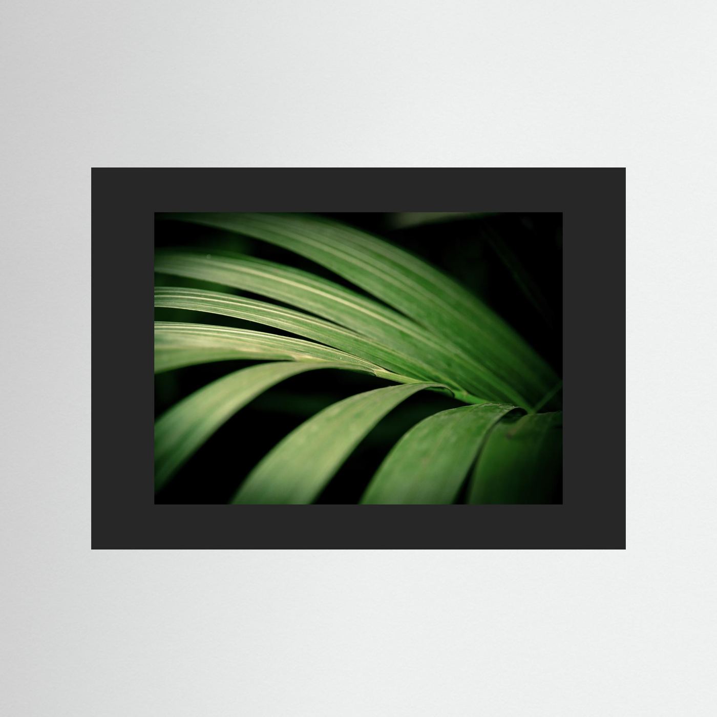 Green leaves