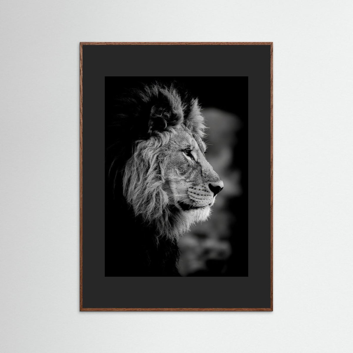Majestic Mind