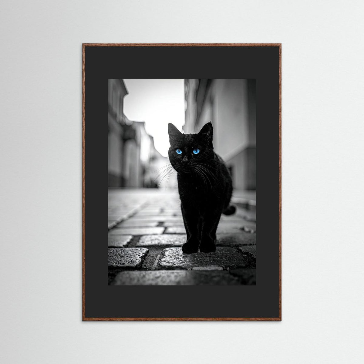 City Cat