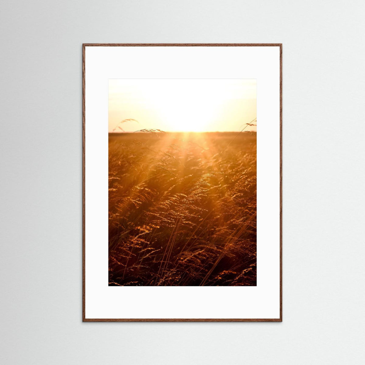 Fields of Gold