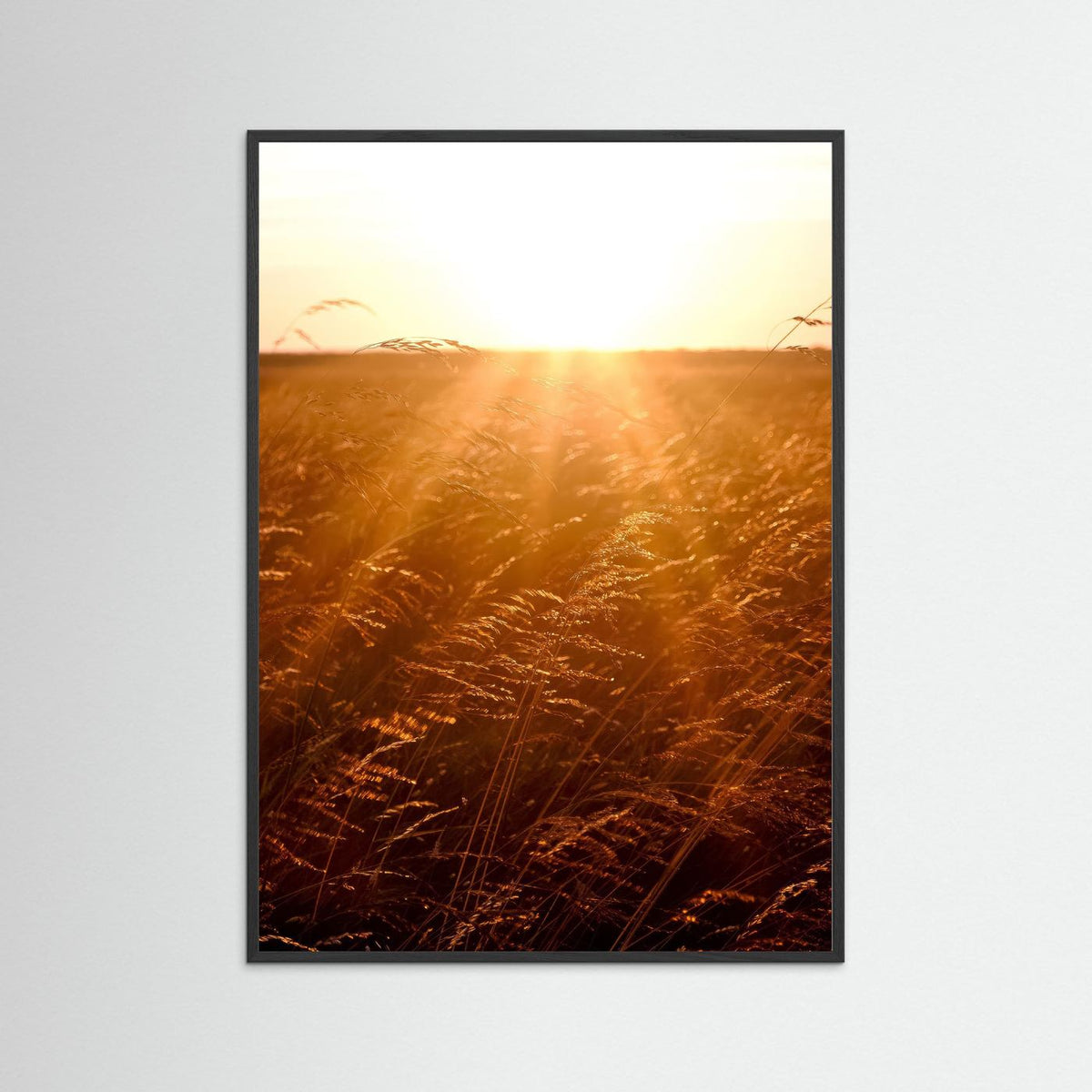 Fields of Gold