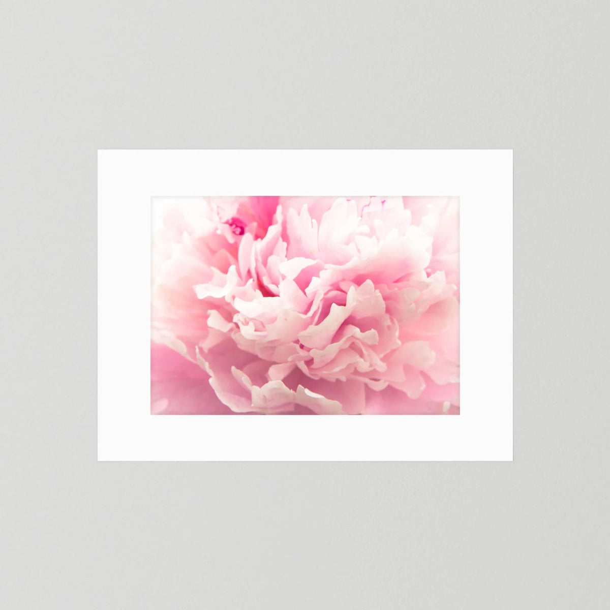Fluffy Flower
