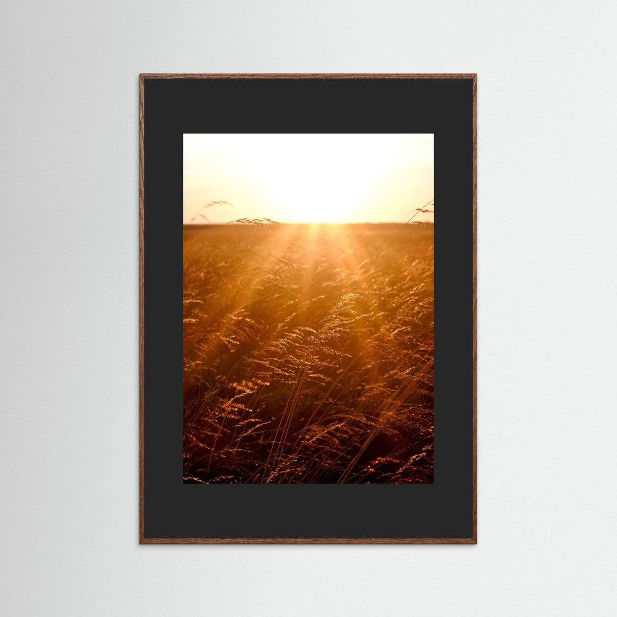 Fields of Gold