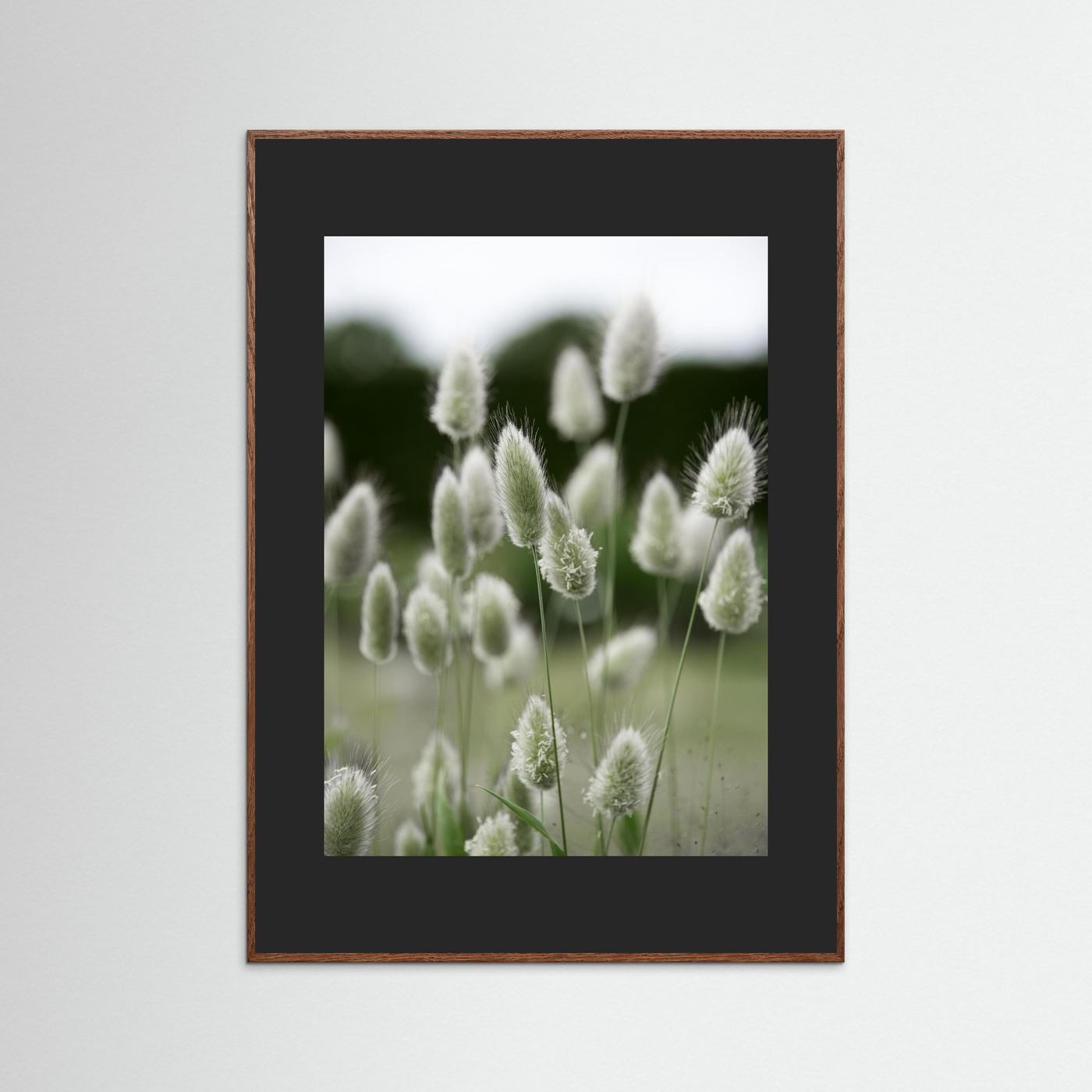Grass
