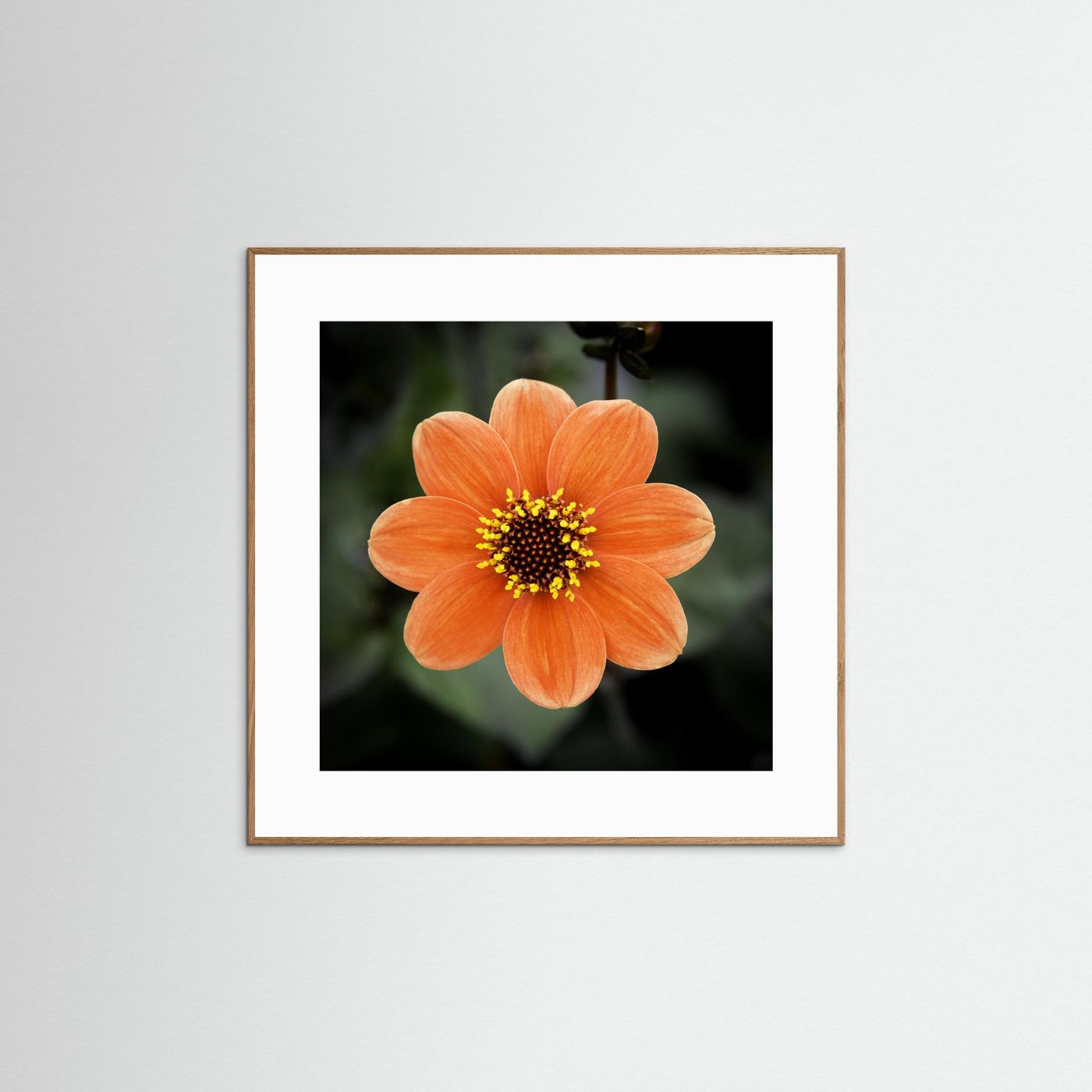 Square flower