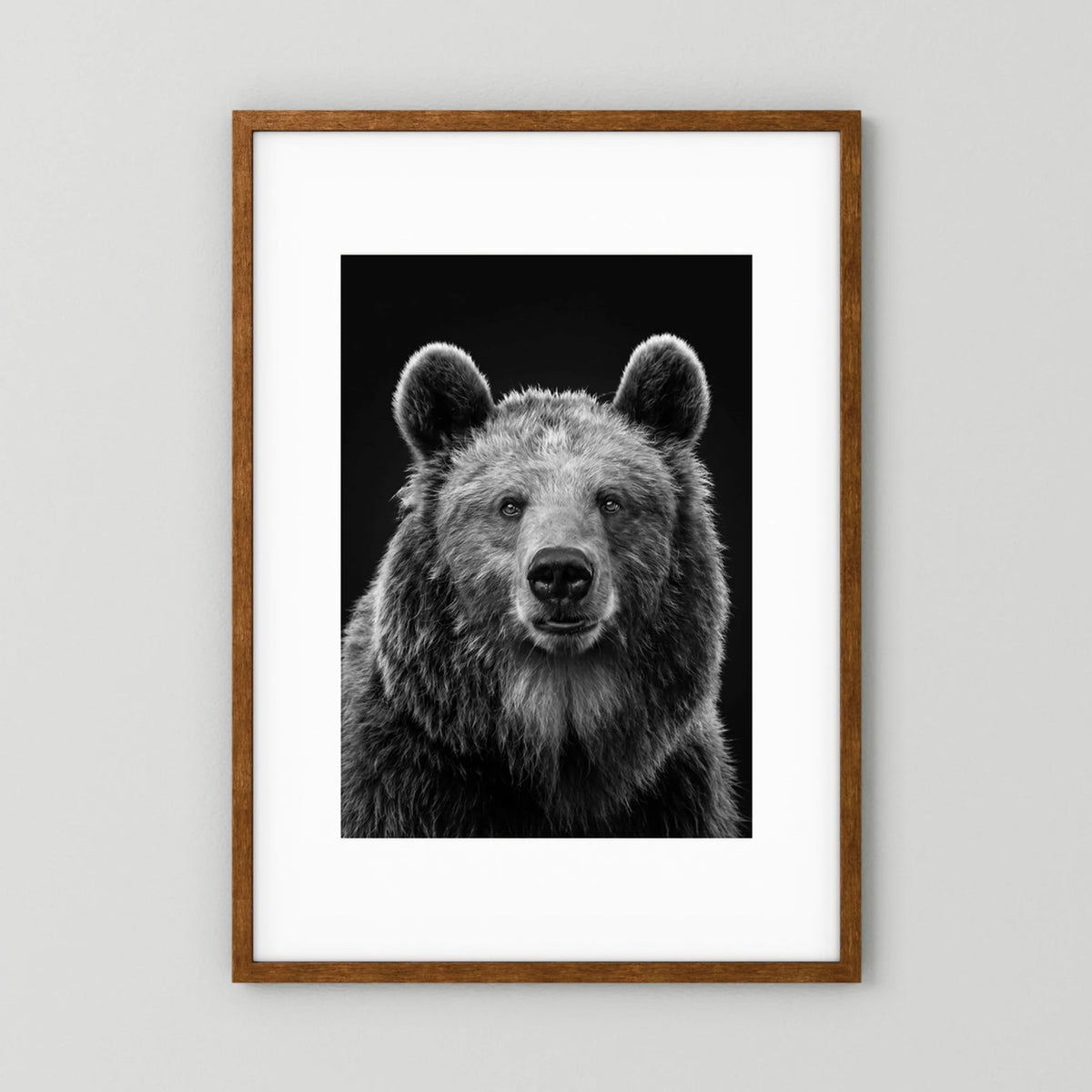 The Bear