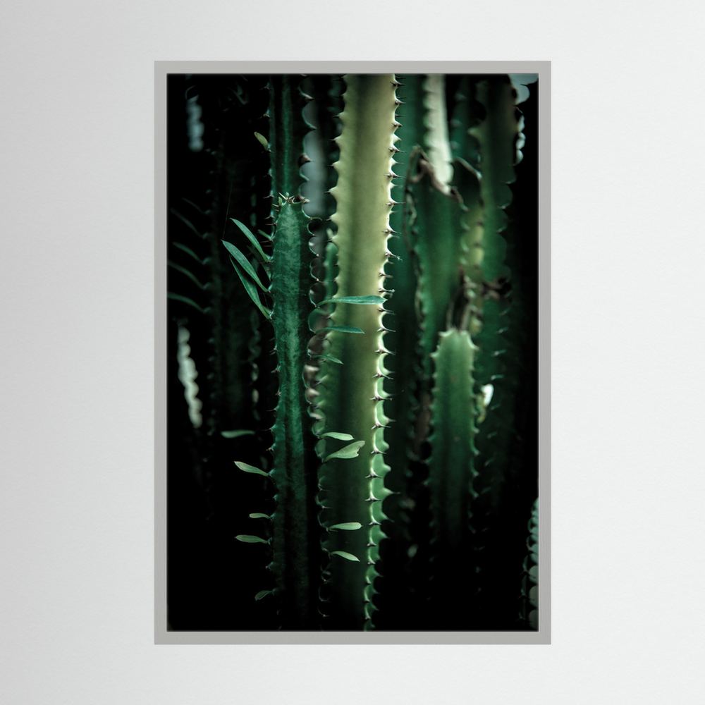 Dark Cactus