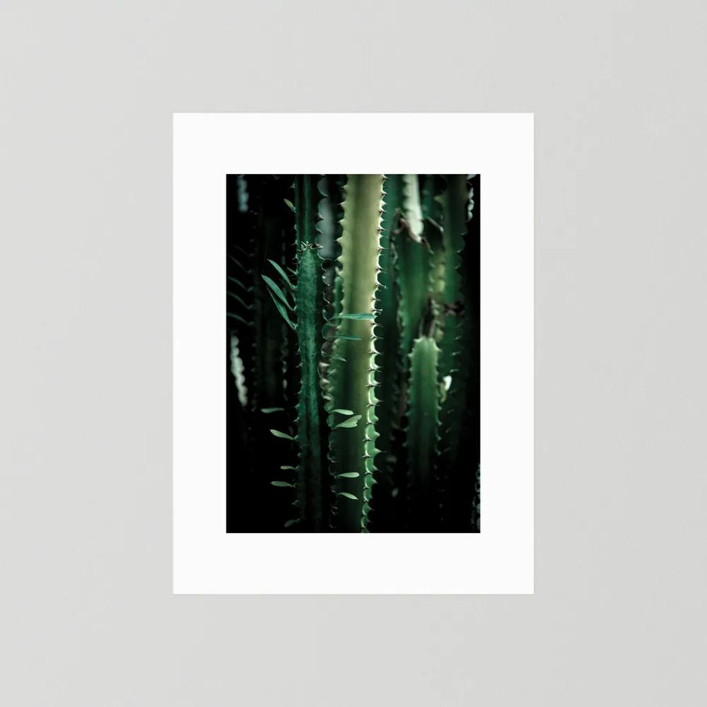 Dark Cactus