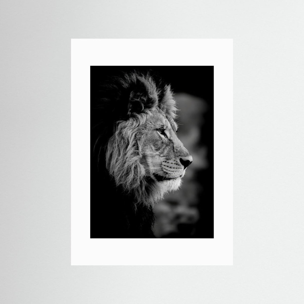 Majestic Mind