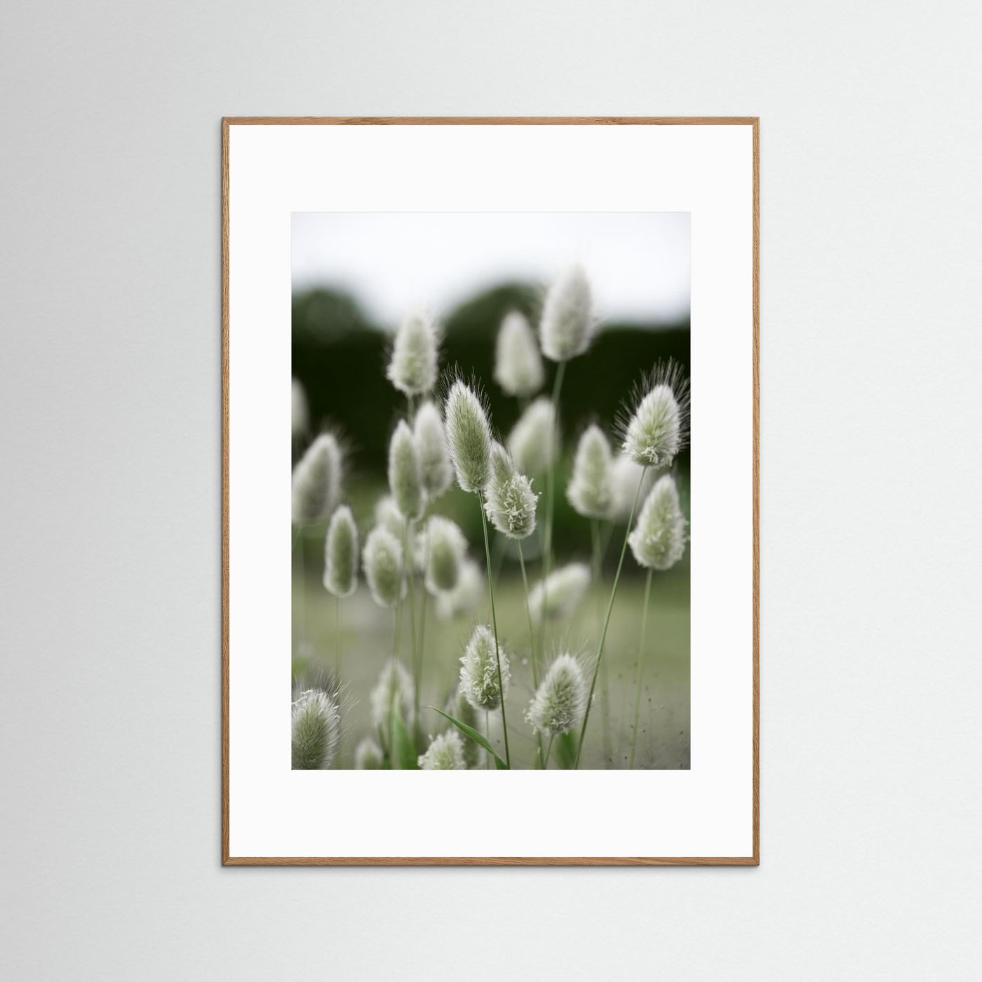 Grass