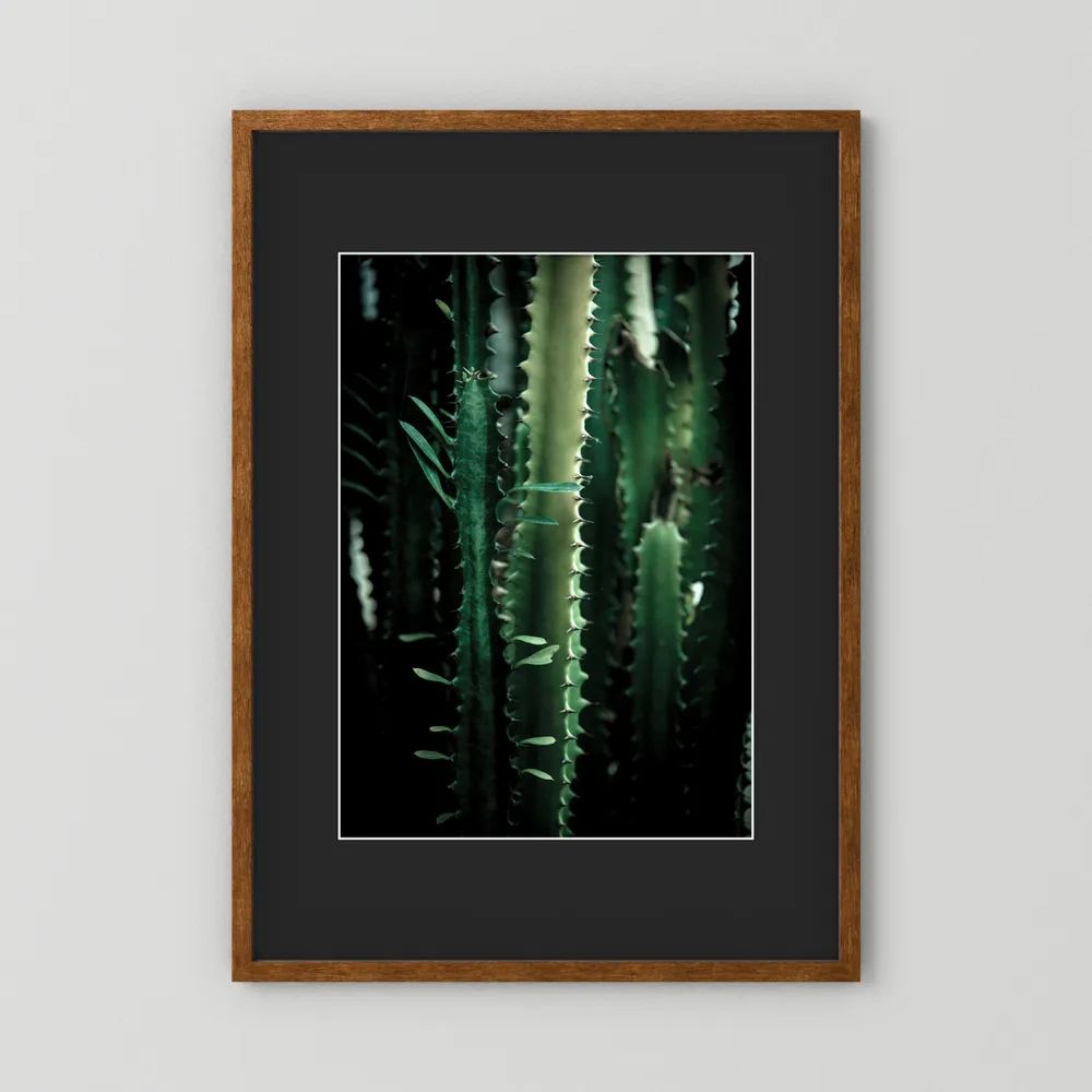 Dark Cactus
