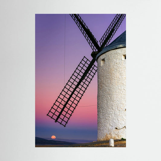 Don Quixote's Dream