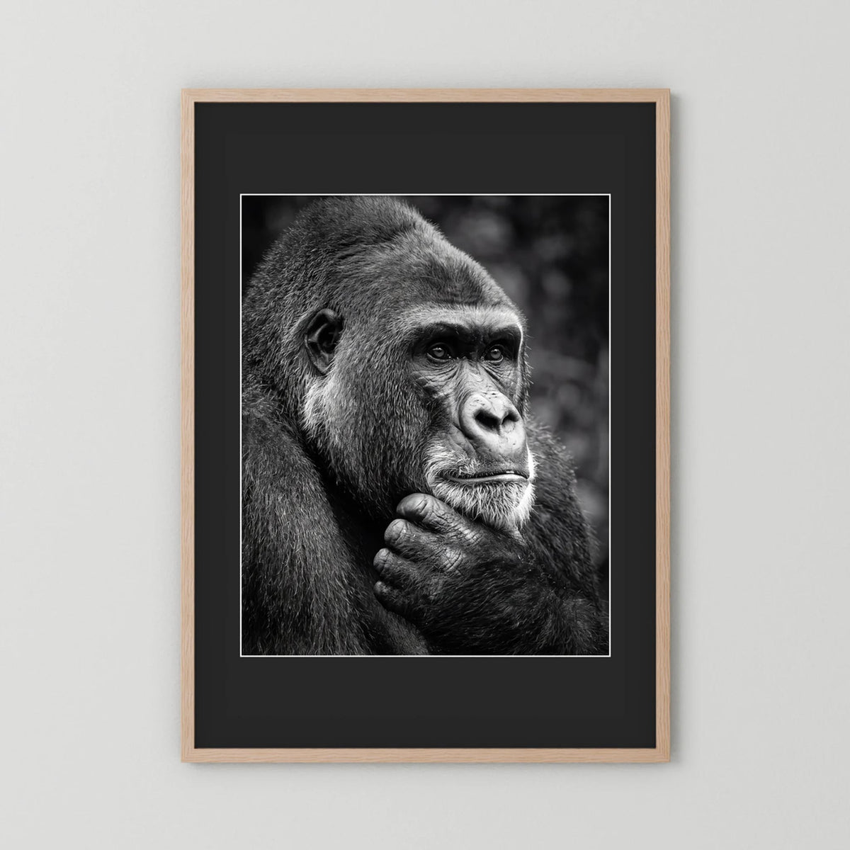Gorilla