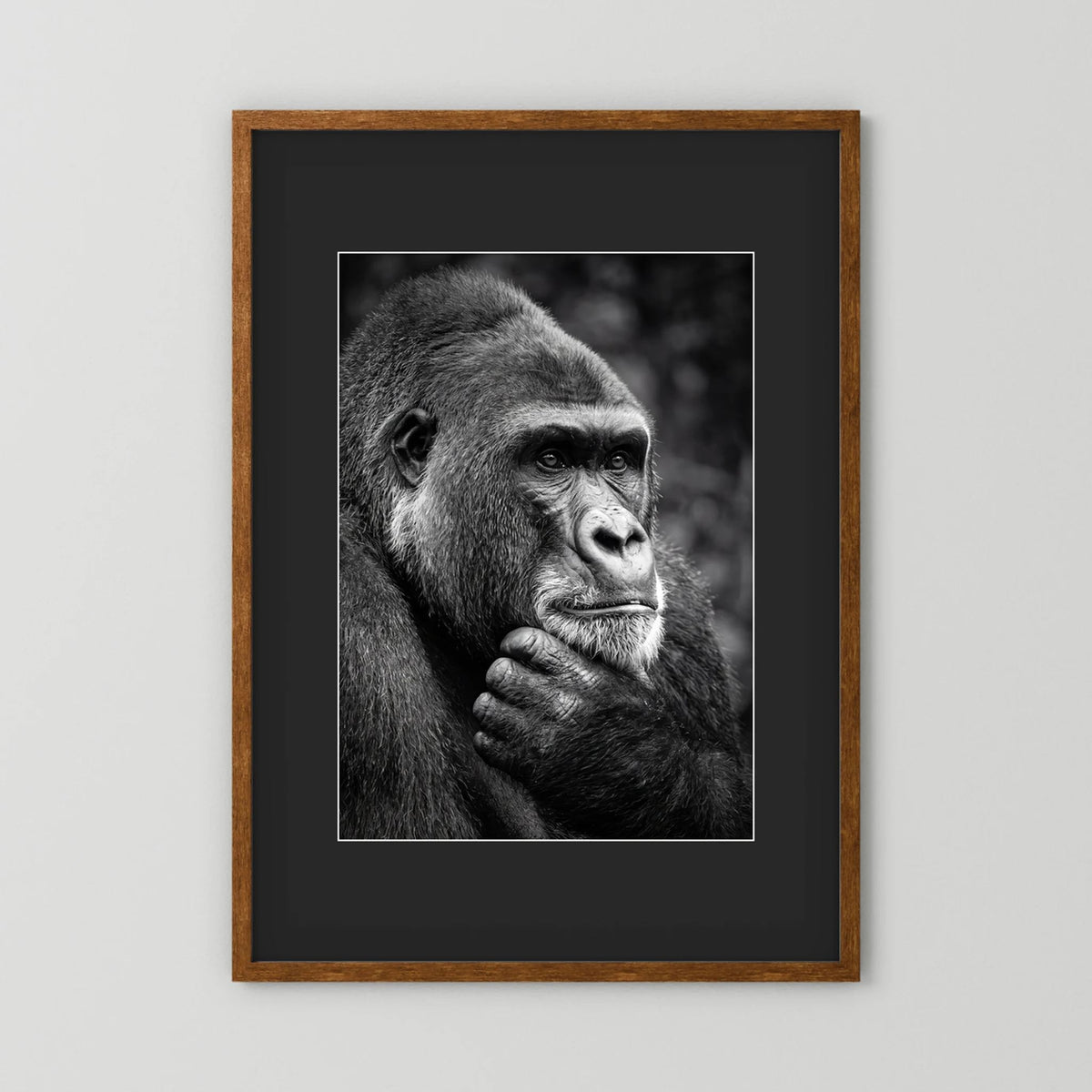 Gorilla