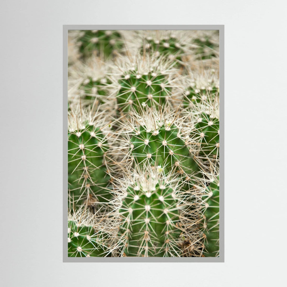 Prickle