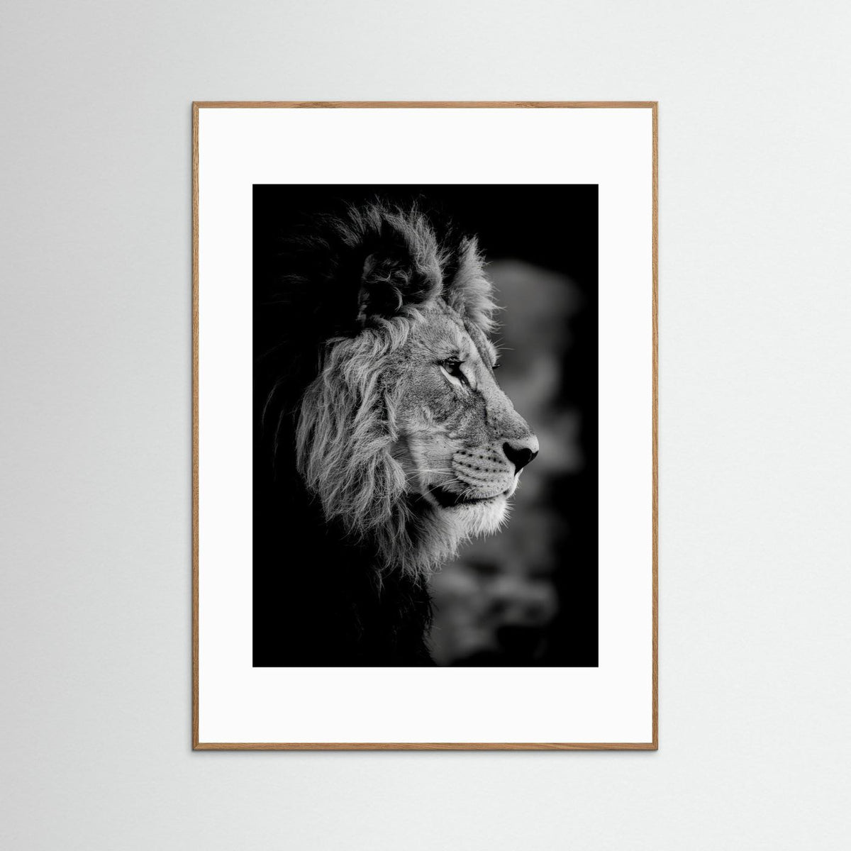 Majestic Mind