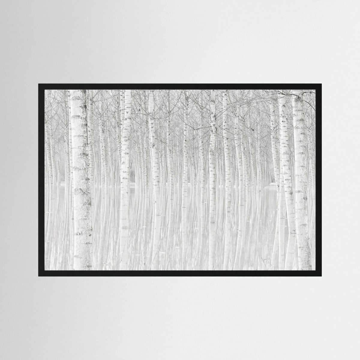 Trees 