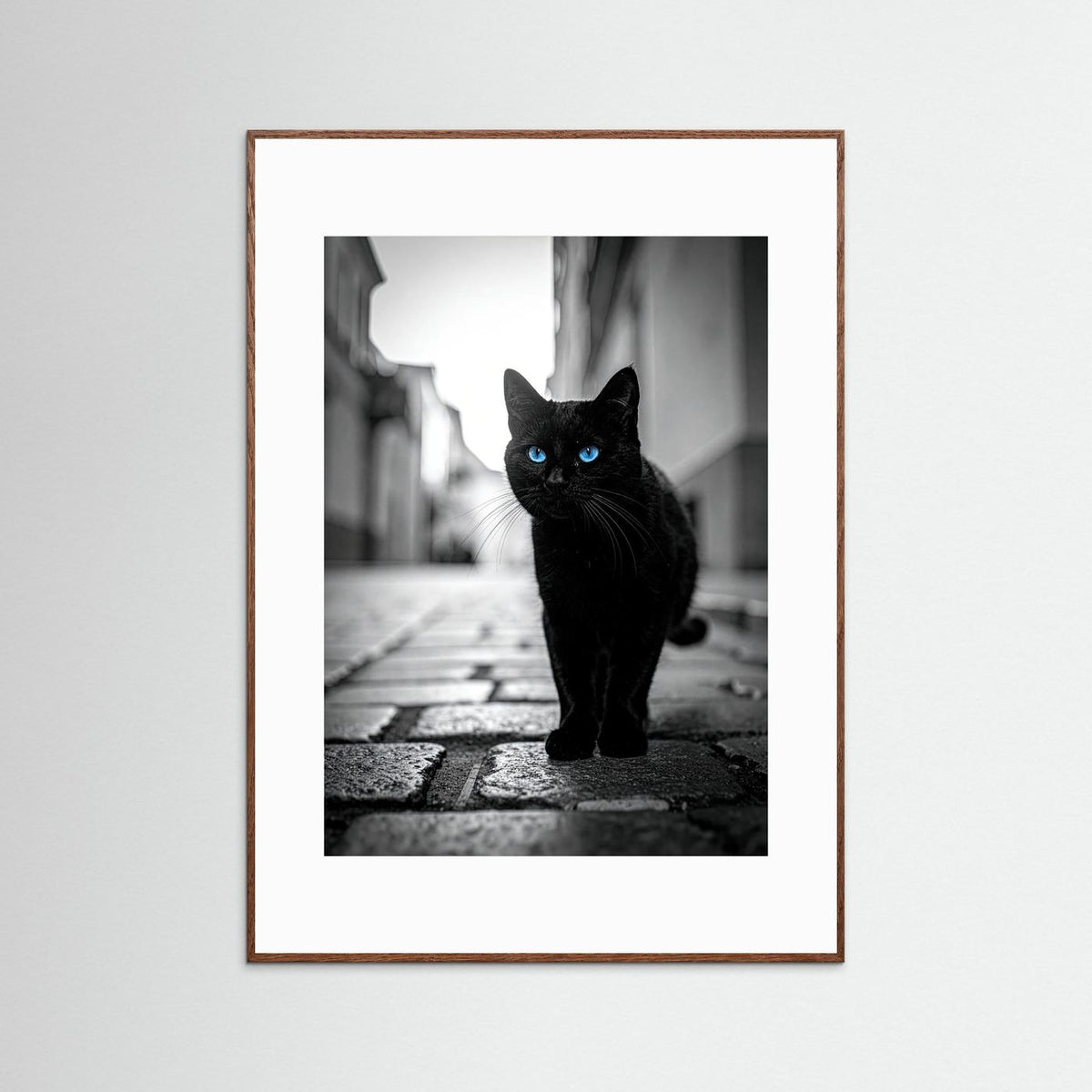 City Cat