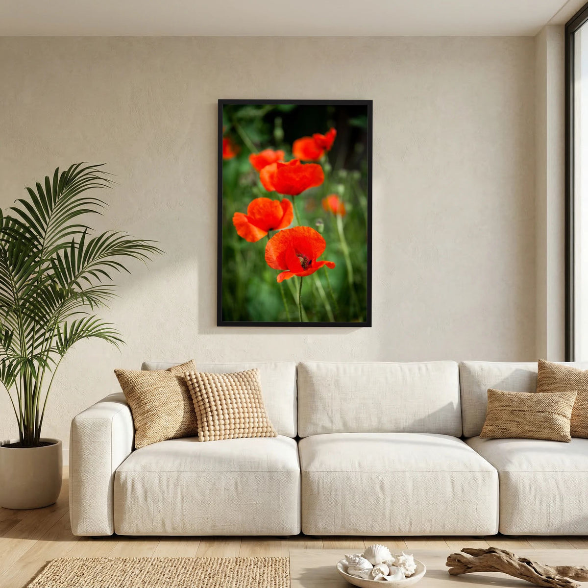 Poppy