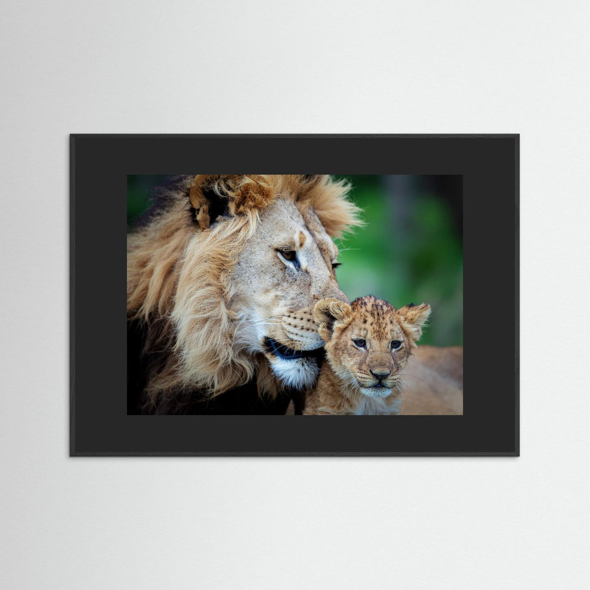 Father and Son