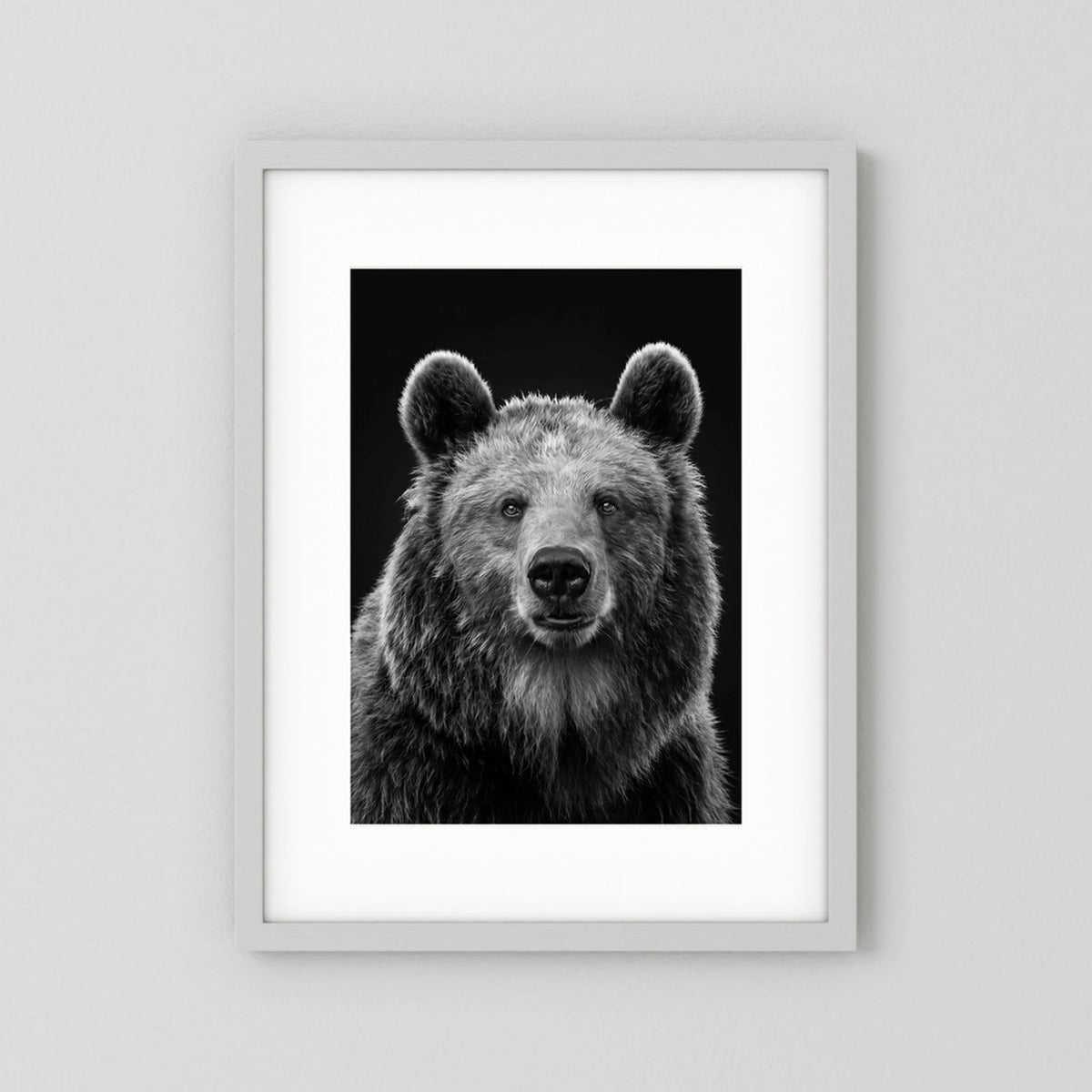 The Bear
