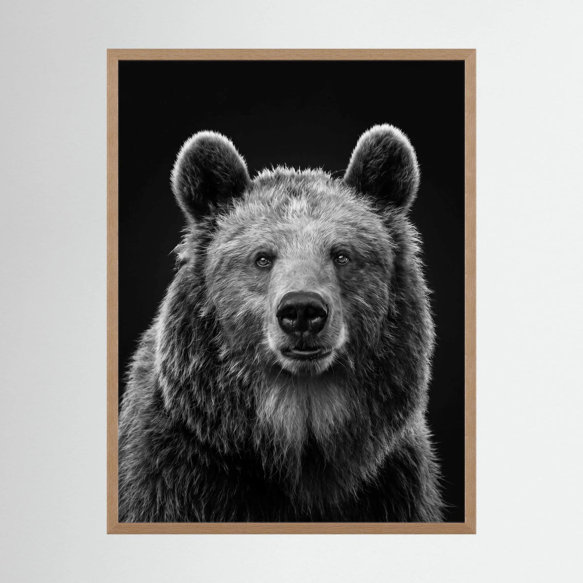 The Bear