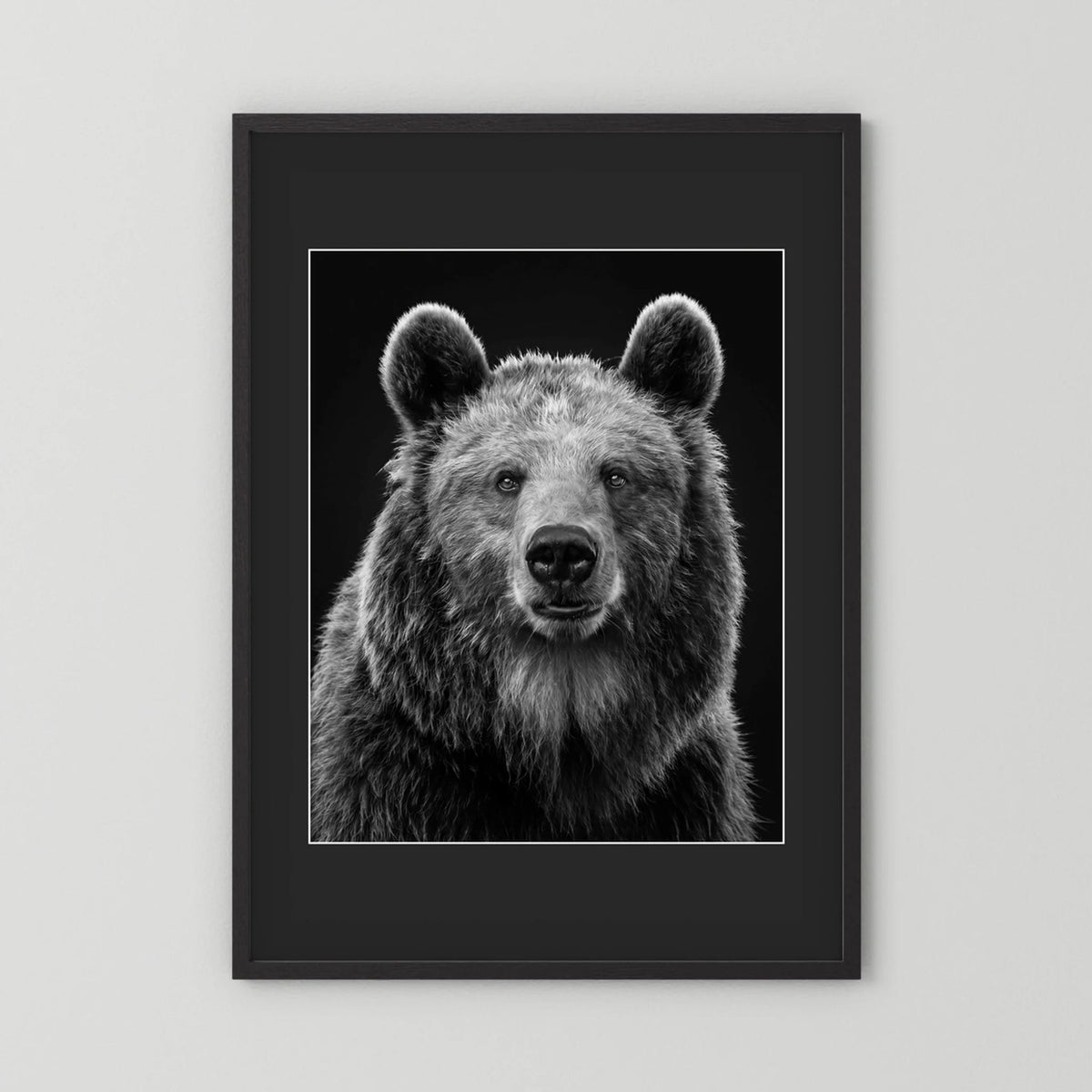 The Bear