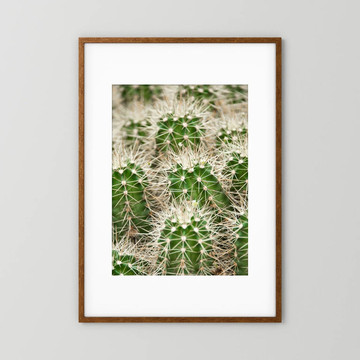 Prickle