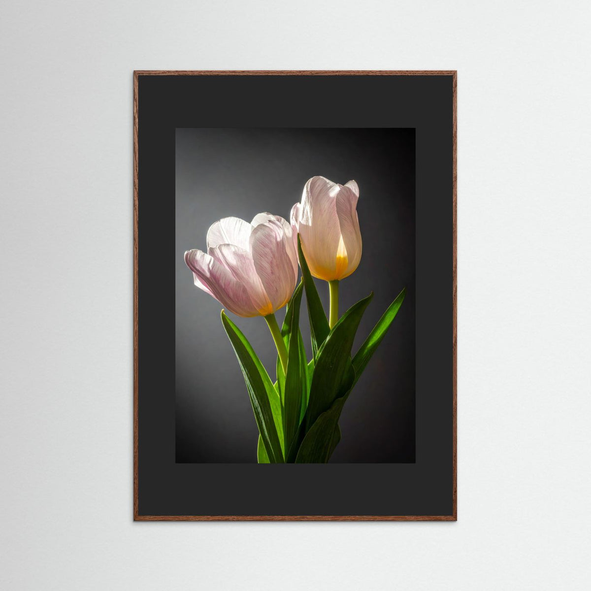 Tulip