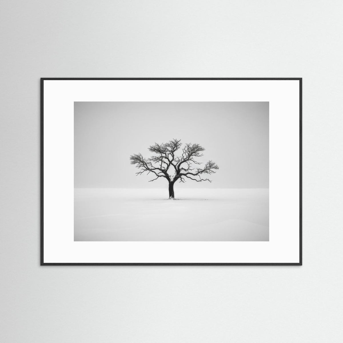Tree of Life