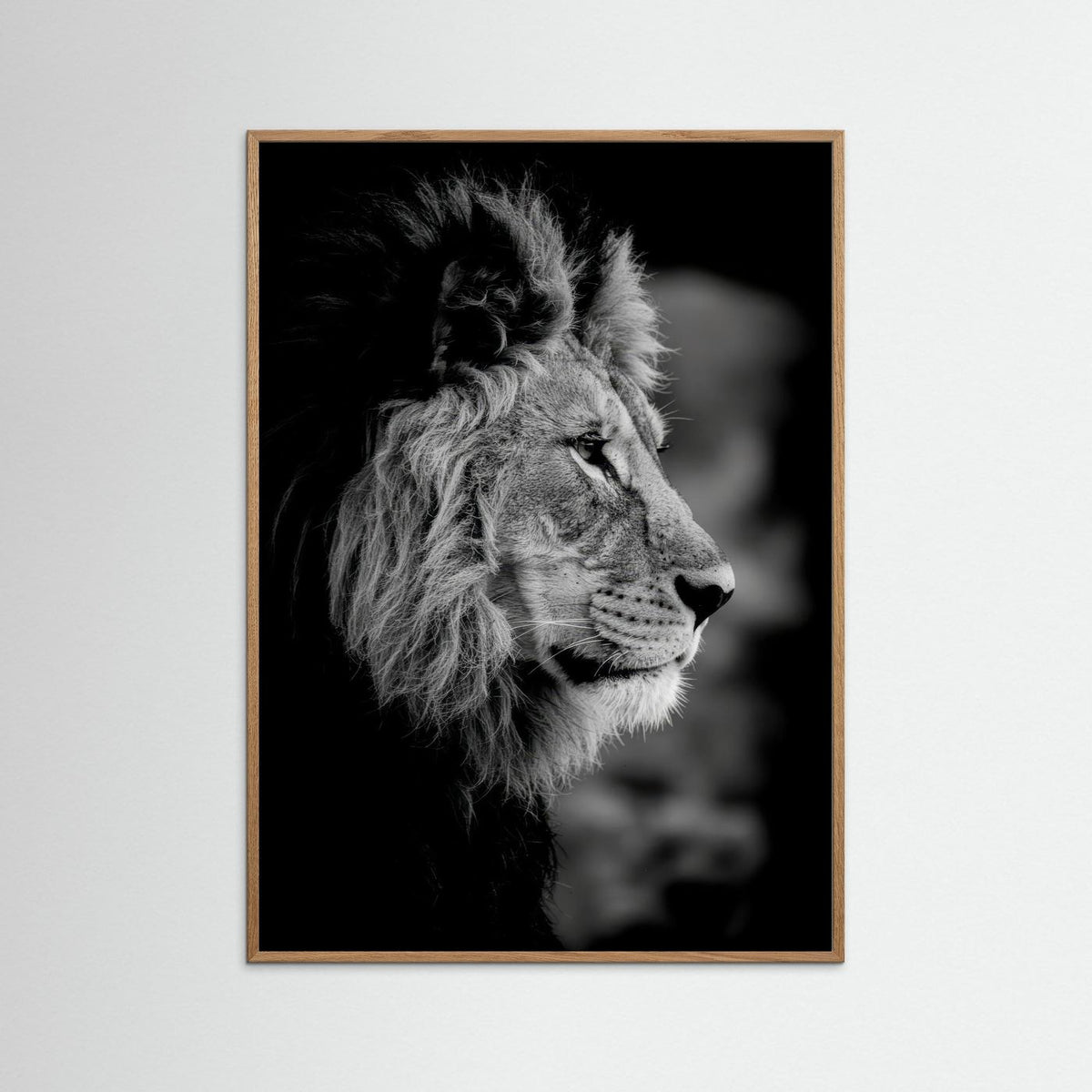 Majestic Mind